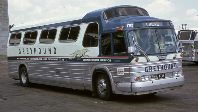 Greyhound 