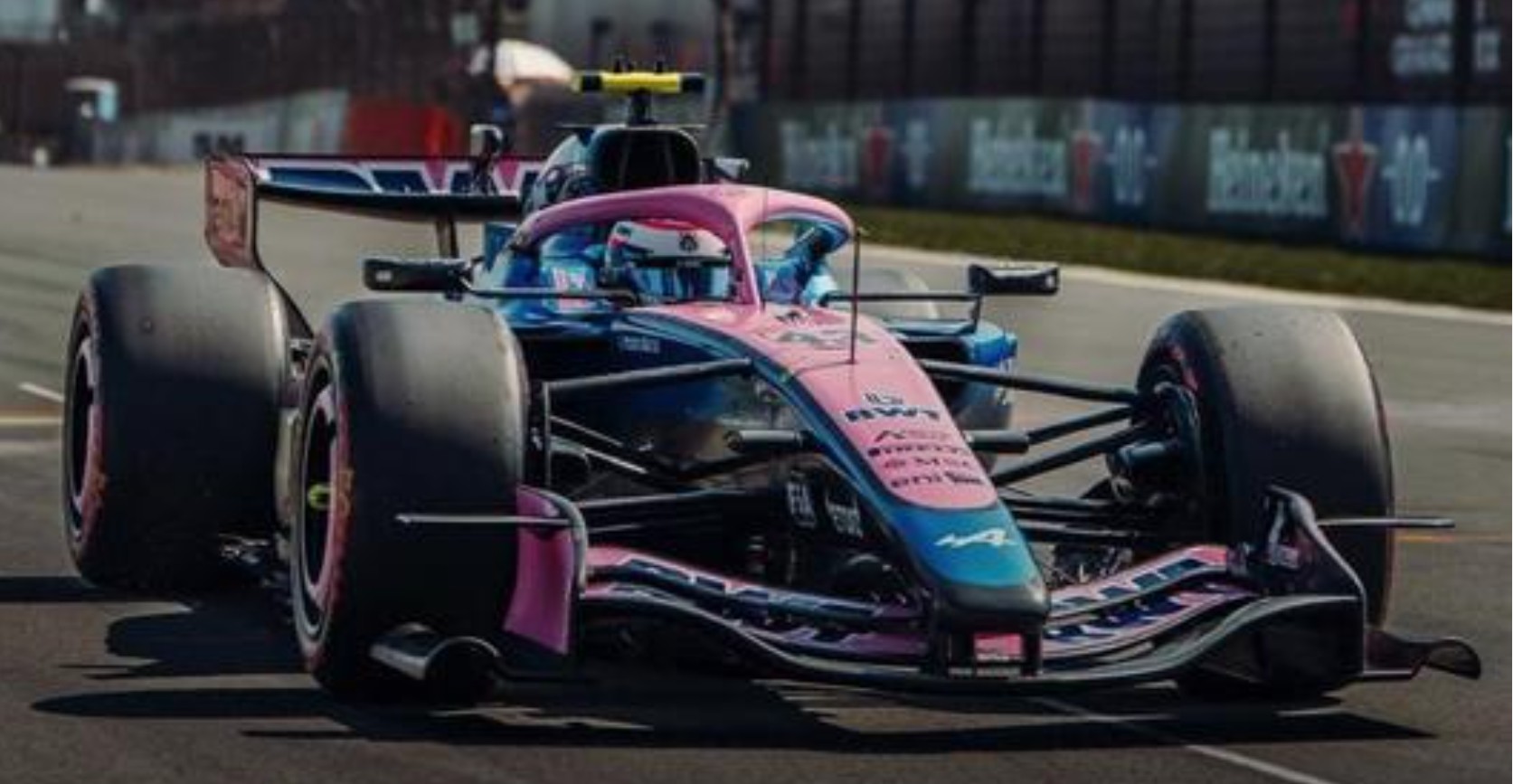 2026 BWT Alpine F1 10th Chinese GP Franco Colapinto w/pit board